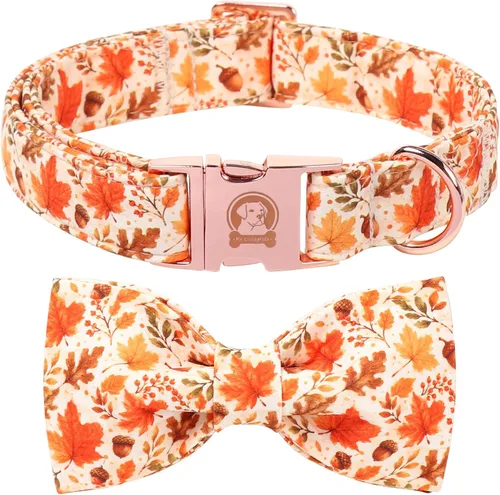 Vista 28 de MR. CHUBBYFACE - Collar de perro de San Valentín con corbatín, lindo collar de perro con corazón azul con hebilla de metal, collar de algodón