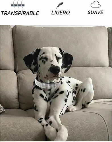 Vista 4 de Collar de perro para perros pequeños, collares ajustables de cuero de gamuza para perro, collar de perro rosa para gato, collar de perro
