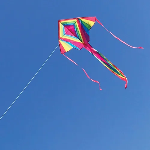 Vista 2 de In the Breeze 3313-45 pulgadas Dayglow Fly-Hi Kite - Cometa divertida y fácil de volar