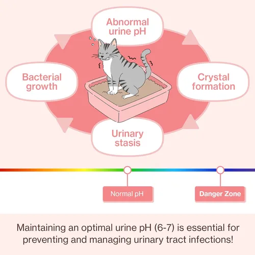Vista 5 de Doctor By UT Care Cat - Suplemento urinario de apoyo renal para UTI de gatos, tratamiento con arándano para la salud renal de gatos con Pacran