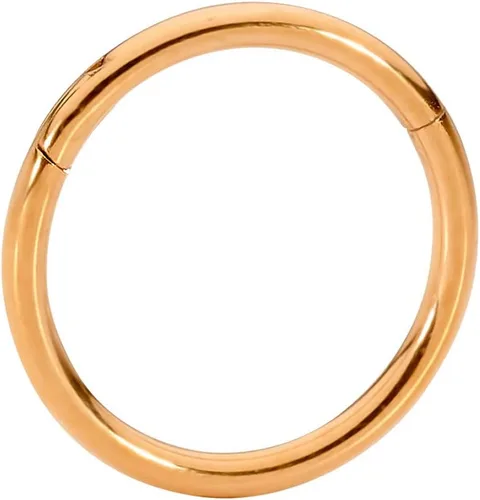 Vista 11 de 365 Sleepers - Piercing para el cuerpo de acero quirúrgico 316L, 20G, 18G, 16G, 14G, 12G, 10G, 8G, 6G, con sección abisagrado, se vende por unidad