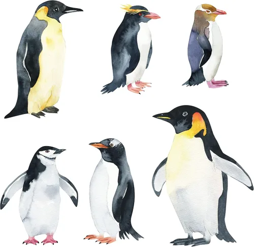 Vista 2 de Calcomanías de pingüino de tamaño real, juego de 6 calcomanías de pared realistas de pingüinos
