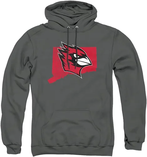 Vista 16 de LOGOVISION Colección de sudaderas con capucha unisex con diseño de forma universitaria oficial para hombres y mujeres