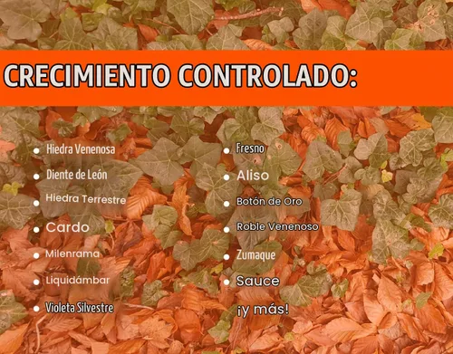 Vista 6 de Pro Brush & Poison Ivy Killer – 32oz – (Comparar con Crossroad) Herbicida concentrado posemergente para plantas leñosas, cepillo y control