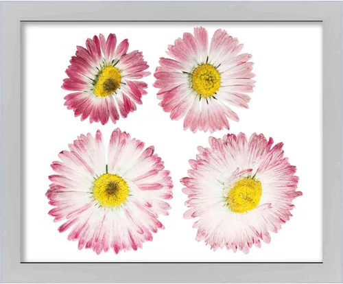 Vista 6 de 8x10 Silver Shadowbox Frame - Shadow Box Frame Interior Size 8x10 by 1.5 Inches Deep - Silver Frame Made to Display Items Up to 1.5 Inches Deep