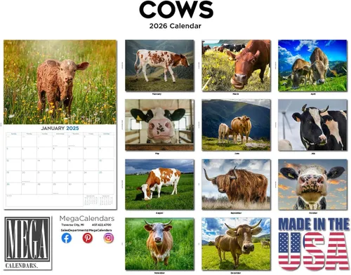 Vista 519 de Calendario de grises africanos 2025 2026 – Planificador mensual de pared de aves africanas – 12 x 18 pulgadas (abierto), calendario de pared