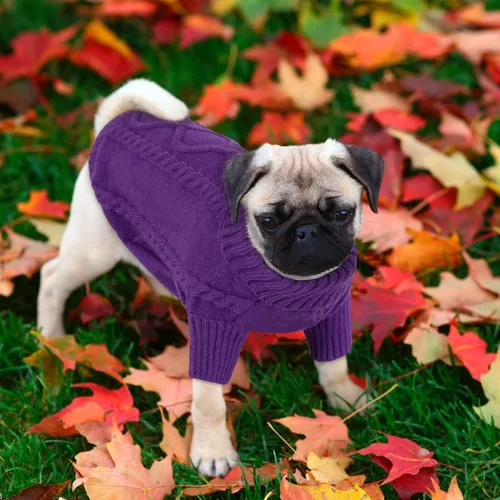 Vista 9 de Queenmore - Suéter de punto trenzado con cuello alto para perros pequeños, para climas fríos, para chihuahua, bulldog, teckel, carlino y yorkie, XS