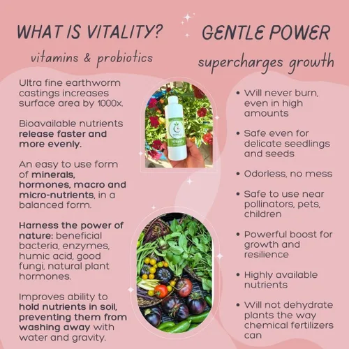 Vista 6 de VermisTerra Vitality - Alimento para plantas de interior y plantas de interior, fertilizante equilibrado de la madre tierra, orgánico, esquejes