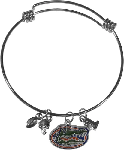 Vista 24 de Siskiyou Sports NCAA unisex-adult Charm Bangle Bracelet
