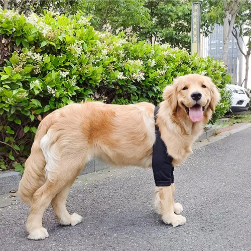 Vista 4 de HDKUW Protector de codo para perros para callos, traje de recuperación para patas delanteras, alternativa al collar de cono para perros para dejar