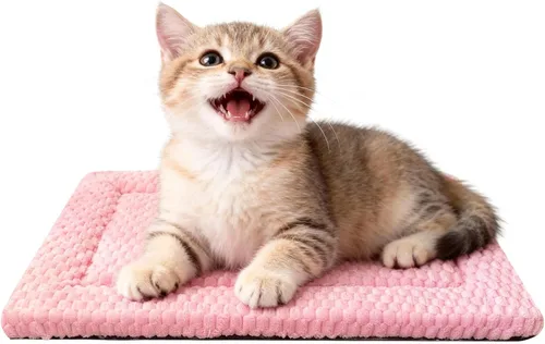 Vista 11 de Tapete para cama de perro, suave y cómodo, para jaula, cama y alfombrilla duradera para perros y gatos, ideal para jaulas, perreras y uso doméstico