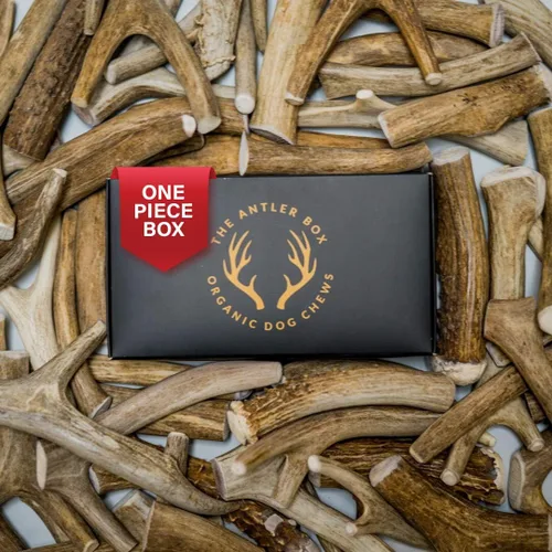 Vista 7 de The Antler Box - Masticables prémium para perros con cuernos de ciervo (paquete a granel de 1 libra) (pequeño de 7 a 8 cuernos/libra)