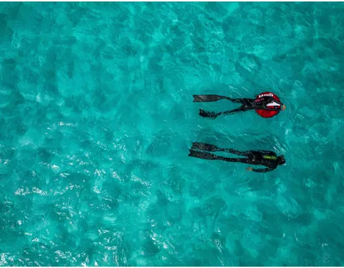 Vista 3 de MARES X-Wing Short Freediving Fins Durable High-Performance Swimming Flippers for Freediving & Spearfishing
