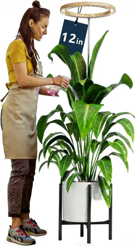 Vista 10 de Luces de cultivo de 10 pulgadas para plantas de interior de espectro completo, 160 luces LED grandes para plantas de interior, lámpara de cultivo
