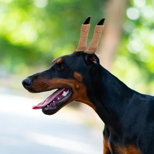 Vista 8 de POPETPOP - Juego de 2 juegos de publicación de orejas de perro, herramienta de pie de oreja Doberman con cinta Herramienta de soporte para orejas