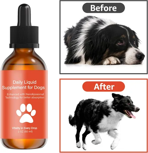 Vista 6 de Suplemento de longevidad para perros NAD+ y NMN, liposomal NAD nicotinamida ribósido resveratrol, salud de las articulaciones, vitalidad
