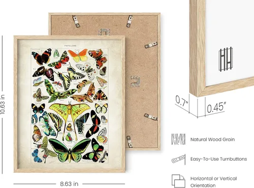Vista 3 de HAUS AND HUES Juego de 3 pósteres vintage de mariposa, arte de pared, impresiones botánicas para estética de habitación, imágenes