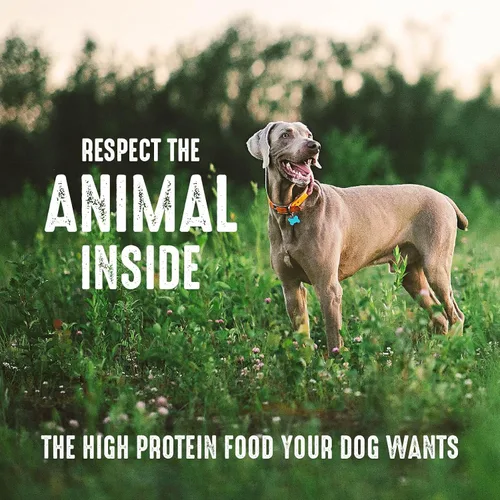 Vista 7 de Crave Comida con proteína para perros, libre de granos, adulto