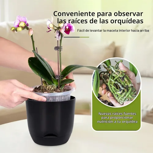 Vista 3 de QCQHDU Macetas de orquídeas de 5.7 pulgadas con agujeros para trasplantar, macetas de plástico de doble capa con riego automático para plantas