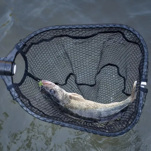 Vista 5 de KastKing Red de pesca Brutus, red de aterrizaje de peces plegable y extensible, red de pesca ligera y portátil con mango de espuma EVA suave