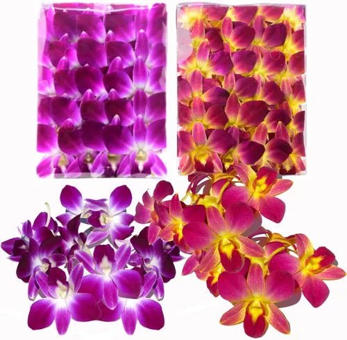 Vista 11 de Flores de orquídea frescas Miami OrchidClub USA Sunne Tropical en suelto, decoración para comida y bebida (100 AZUL PURPURA)