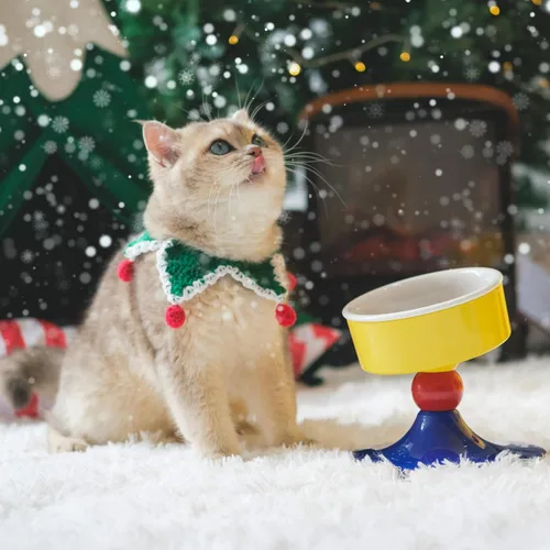 Vista 8 de Cuencos elevados de cerámica para gatos, plato de comida para gatos con soporte, soporte elevado de 3 alturas ajustables para perros pequeños y Rojo