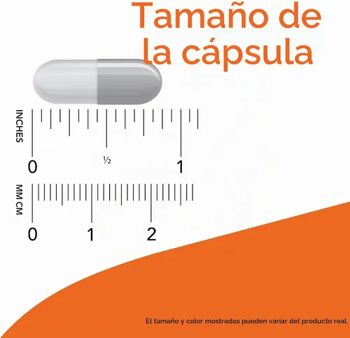 Vista 4 de Now Supplements, extracto de semilla de uva, fuerza máxima 500 mg (un extracto altamente concentrado con un mínimo de 90% de polifenoles), 90