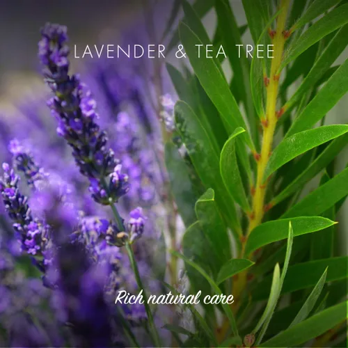 Vista 3 de FRIENDLY SOAP Barra de champú de árbol de té de lavanda, 95 GR