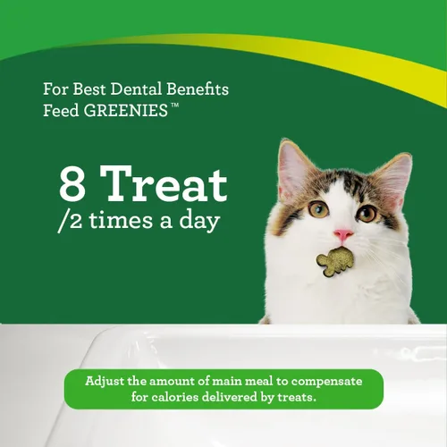 Vista 8 de Greenies Golosinas dentales naturales para gatos adultos recomendadas por veterinarios felinos, sabor hierba gatera, bolsa de 2.1 onzas