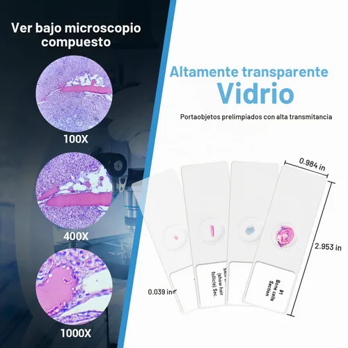 Vista 2 de 100 muestras preparadas de diapositivas del microscopio, ciencias