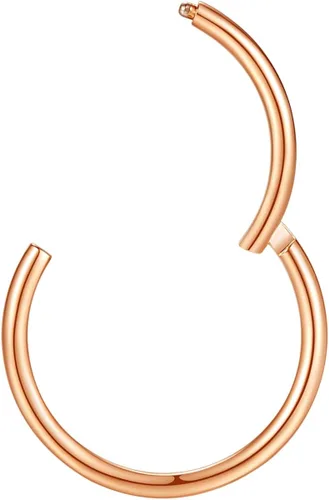 Vista 6 de Orangelove Aretes nasales hipoalergénicos, acero quirúrgico 316L, calibre 20, 18, 16, 14, 12, 10 y 8, joyería para tabique con segmento de bisagra