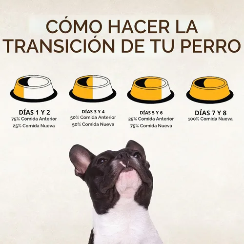 Vista 10 de Comida seca para perro sin granos Wellness Core Natural