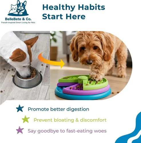 Vista 6 de BelleBête & Co. Cuenco de tres capas para perros Maze Pet Slow Feeder - Diseño interactivo de rompecabezas, serie de comedor consciente