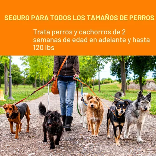 Vista 5 de SENTRY HC WormX DS (pamoato de pirantel) antihelmíntico canino para perros, 2 oz Ideal for Dogs up to 120 lbs; Precise Weight-Based Dosing