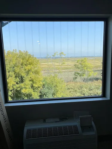 Vista 5 de COLLIDESCAPE Spiderweb - Cinta para Pájaros Transparente para Ventanas (3/4" x 20' - Cubre 1 a 2 paneles) Cintas Adhesivas para Pájaros