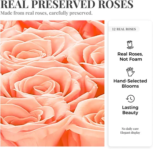 Vista 2 de Rosas preservadas en caja de regalo de lujo, 12 rosas eternas reales que duran hasta 3 años, flores eternas para mujeres, aniversario, cumpleaños
