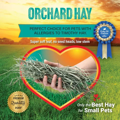 Vista 5 de Small Pet Select Orchard Grass - Alimento para mascotas con heno, 2 libras
