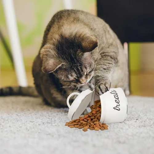 Vista 9 de AuldHome - Recipiente esmaltado para gatos, pequeño tarro rústico blanco para golosinas para mascotas