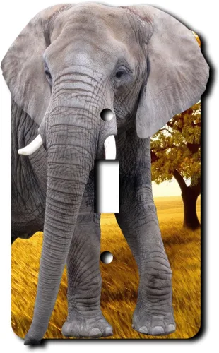 Vista 5 de Cubierta eléctrica acrílica decorativa de elefante - Interruptor de luz doble