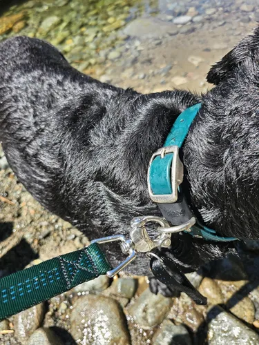 Vista 4 de Correa de perro resistente de 6 pies – Broche de liberación rápida, mango Dyneema, impermeable, 316 inoxidable, hecho a mano en Estados Unidos Negro