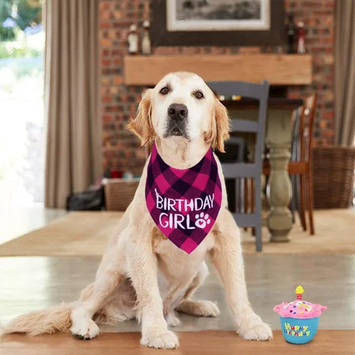 Vista 7 de STMK Paquete de 2 pañuelos de cumpleaños para perros, cumpleaños de perro niño y niña, bandana a cuadros triangulares para perros