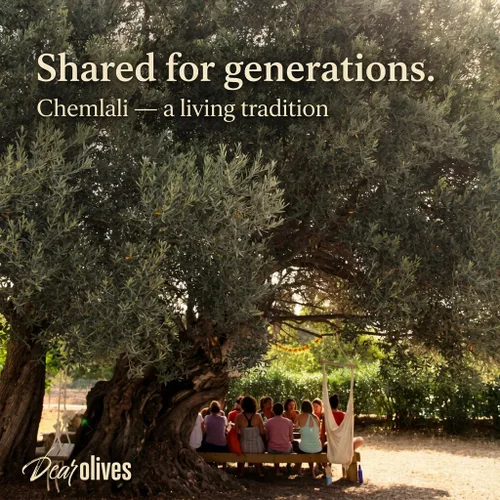 Vista 6 de Dear Olives™ Aceite de oliva virgen extra mediterráneo suave, cosecha temprana prensado en frío, sabor equilibrado y polifenoles, perfecto
