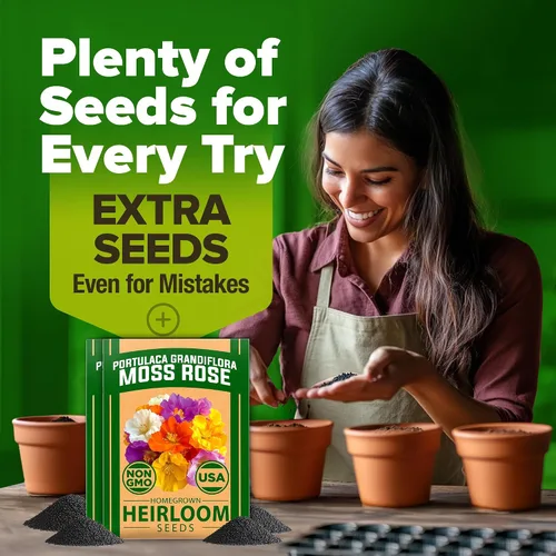 Vista 67 de HOME GROWN Semillas de Hollyhock de doble mezcla de Chater, 200 semillas