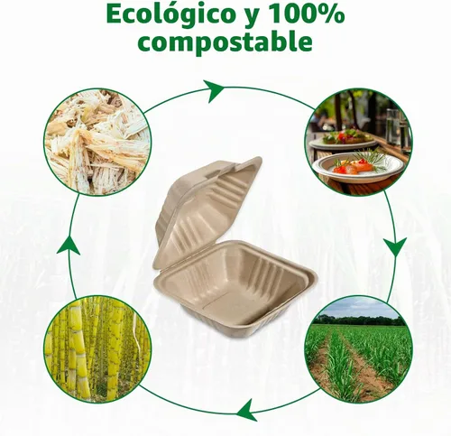 Vista 4 de Aricsen Paquete de 50 Cajas de Almuerzo Cuadradas Pequeñas Desechables Compostables de 6 x 6 Pulgadas, Recipientes para Llevar con Tapa, Concha Tipo