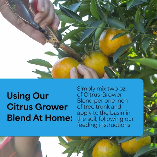 Vista 4 de Grow More Mezcla de cultivo de cítricos (1.7-0-0) – 20 onzas de fertilizante cítrico orgánico para árboles en maceta con micronutriente quelado
