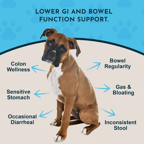 Vista 2 de Animal Essentials Polvo de rescate de colon ayuda digestiva a base de hierbas para perros y gatos, 1 onza – Hecho en Estados Unidos GI Support