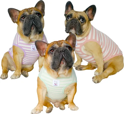 Vista 51 de iChoue - Camisetas de rayas de algodón 100% transpirable para Bulldog francés, chaleco de Halloween para perros medianos, camisetas Frenchie Pug
