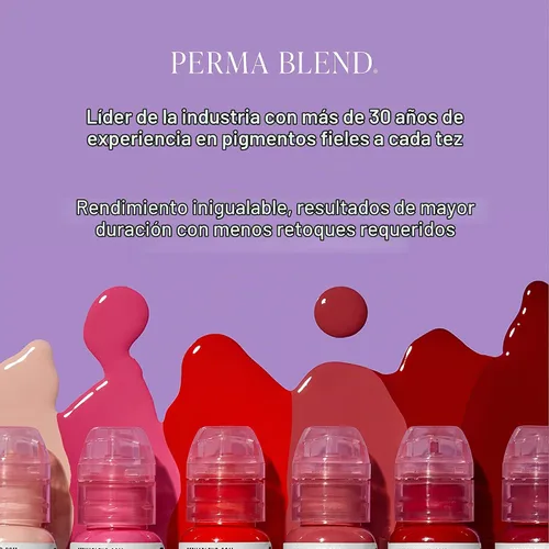 Vista 4 de Perma Blend Kit de tatuaje de cejas de luz a oscura, maquillaje permanente y tinta microblading para uso profesional, contiene tinta de tatuaje