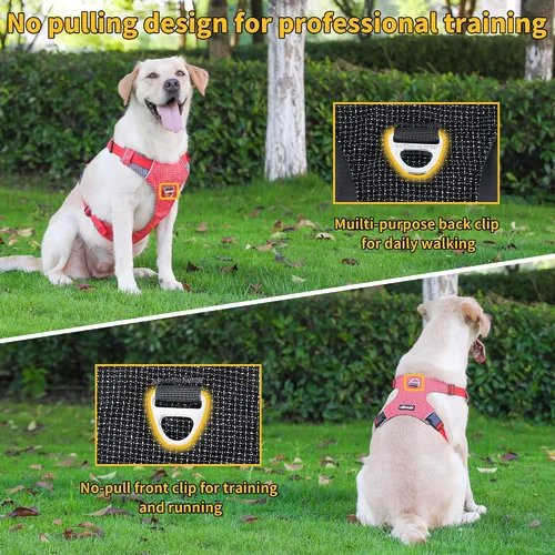 Vista 3 de LIOPARD Arnés para perro, arnés para mascotas fácil de caminar sin tirones, con 2 clips para correa, chaleco reflectante suave acolchado ajustable