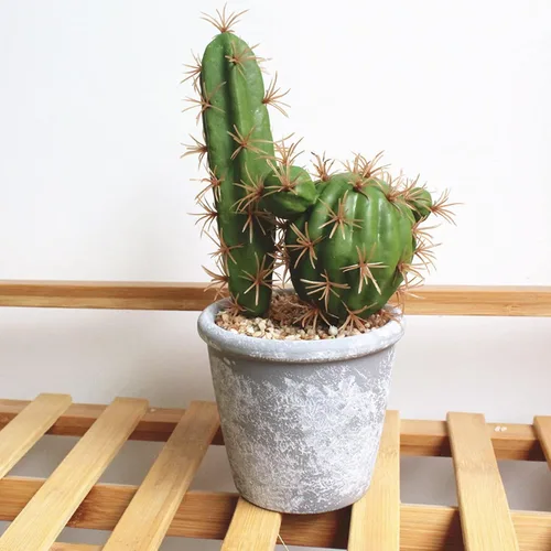 Vista 3 de HinyoCo 6 piezas de cactus artificiales de imitación de cactus, arreglo floral, material vegetal verde para decoración del hogar y la oficina
